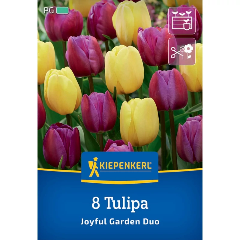 kiepenkerl joyful garden duo tulipán virághagymák