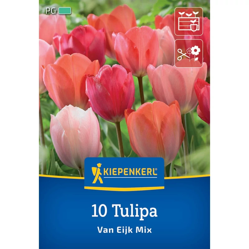 kiepenkerl van eijk mix darwin-hibrid tulipán virághagymák