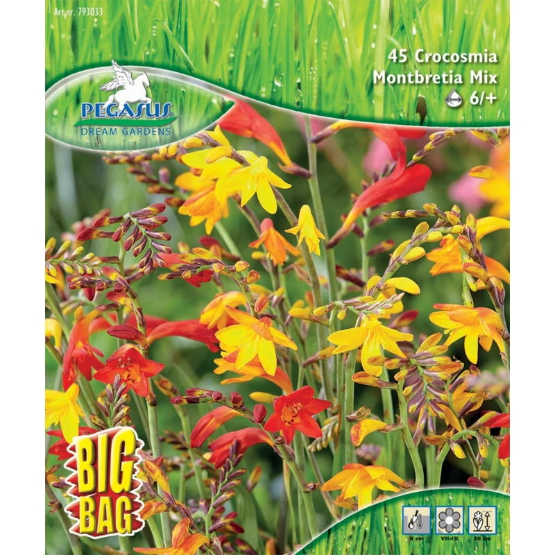 pegasus crocosmia montbreiten virághagyma keverék