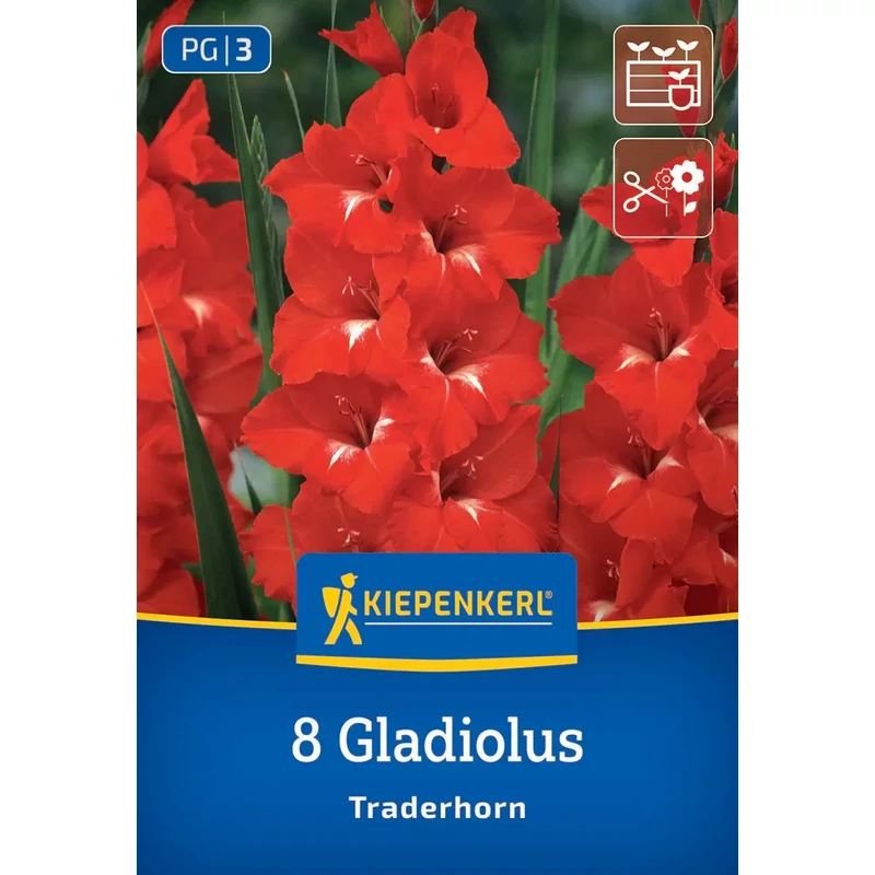 kiepenkerl traderhorn kardvirág virághagyma