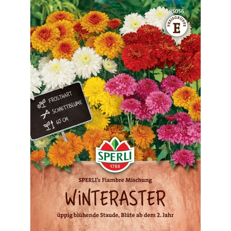 sperli fiambre krizantém mix vetőmag