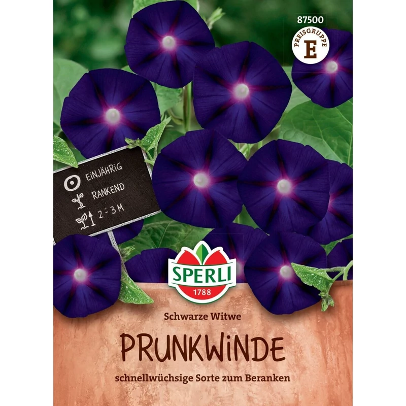 sperli bordósfekete hajnalka vetőmag