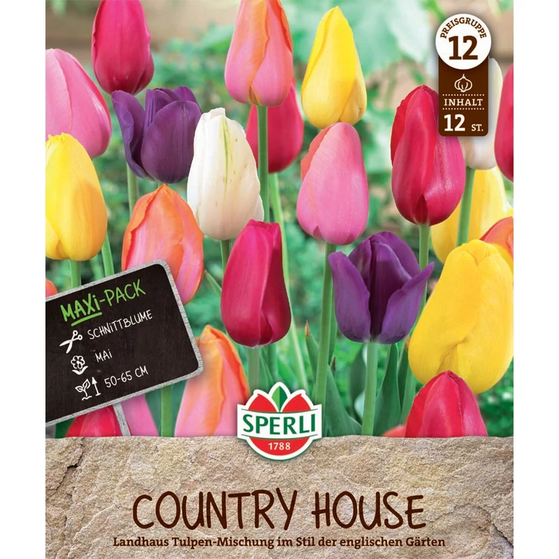 Sperli Country House vegyes tulipán virághagyma Maxi Pack