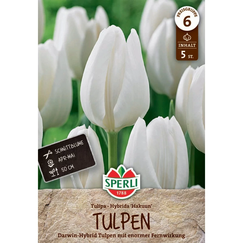 Sperli Premium Hakuun darwin-hibrid tulipán virághagyma
