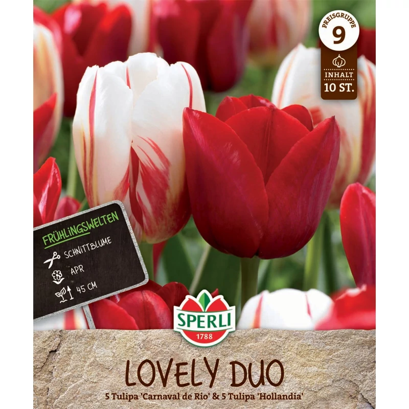 Sperli Lovely Duo vegyes tulipán virághagymák