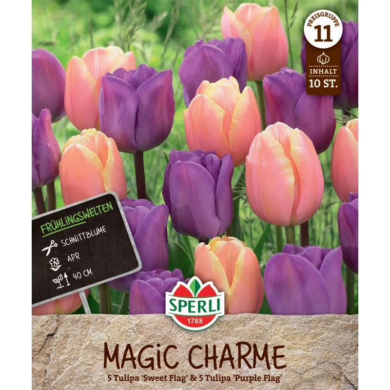Sperli Magic Charme vegyes tulipán virághagymák