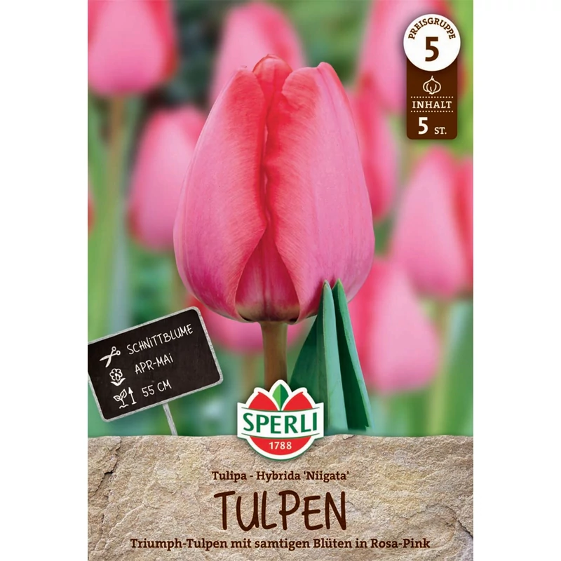 Sperli Premium Hakuun darwin-hibrid tulipán virághagyma