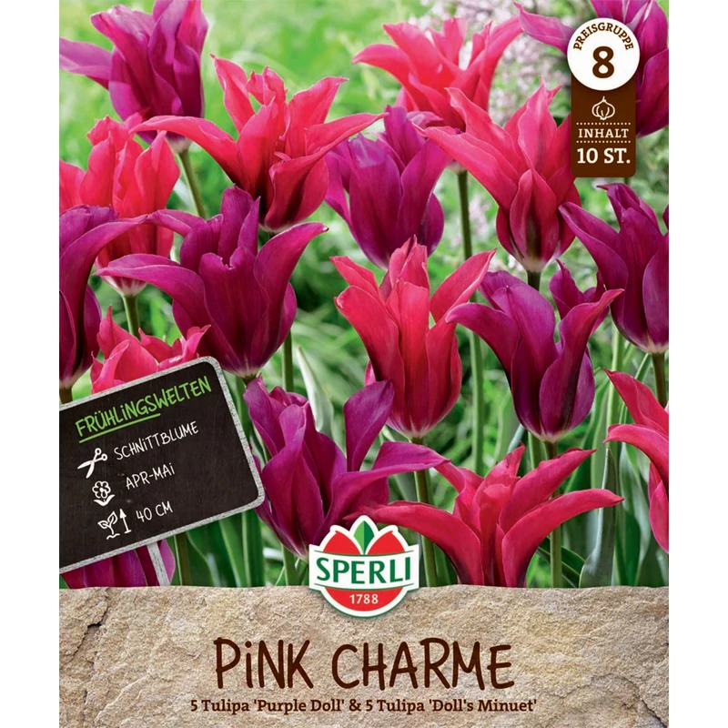 Sperli Pink Charme tulipán virághagyma keverék