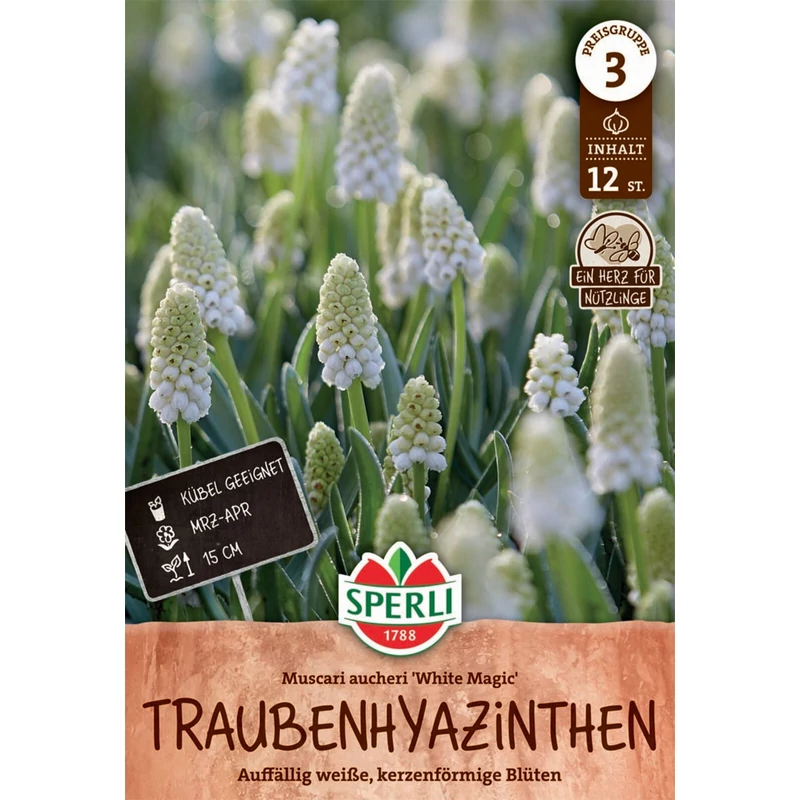 sperli fehér gyöngyike virághagymák